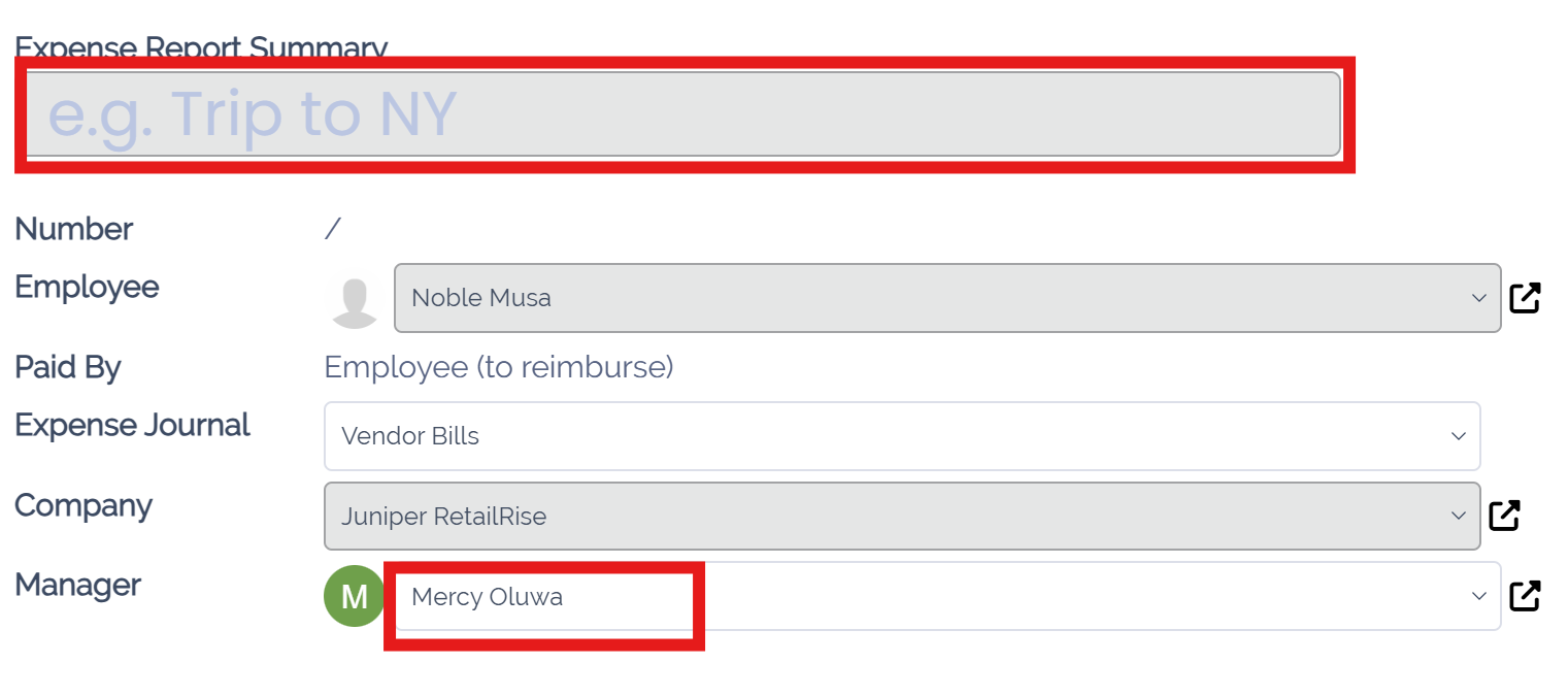 Enter a short description and select a manager for the report.